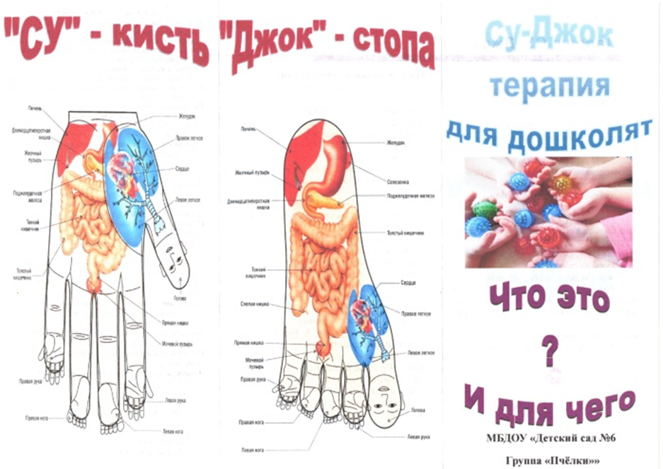 «Су-Джок терапии для дошколят.  Что это? И для чего?»